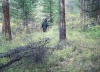 ����������� ������� �������������� ���������� ���������� ���������� �����