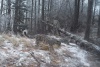 ����� ������ � ��� ������ ������ � �������� ������ � �����-��������� �����������