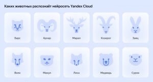 Yandex Cloud         