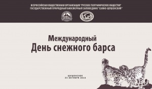 � �����-��������� ����������� ������� ������  ������������� ���� �������� �����
