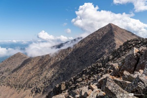 ����� ��������� �������� ������������� ����� ���������� ���