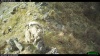 � �����-��������� ����������� ���������� ��� ����� �������� �����