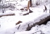 � ��������� ����������� ������� ����� ������� ����� ��������