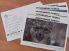 �� ���� ������ ���� �������� �����