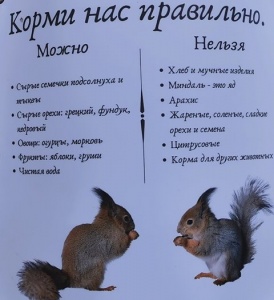 � ��� �� ������ � ������?