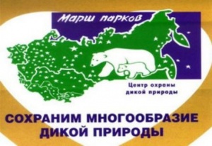 ���� ������ - 2014